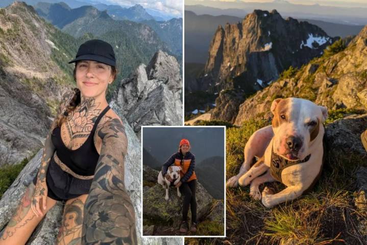 Hiker falls 60 feet off Canadian peak trying to rescue dog, both  survive
