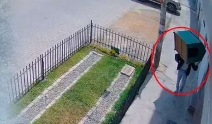 Ni los animales se salvan de la criminalidad: roban casa de perrito policía en Chiclayo