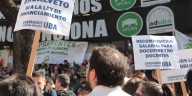 Los docentes universitarios convocaron a un paro en rechazo al veto de Milei a la ley de financiamiento