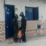 Causaba destrozos en una vivienda de Alto...