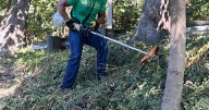 African American cemetery receives helping hand
