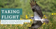 Northern Arizona Audubon Society hosting birding careers panel at NAU