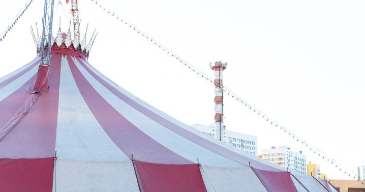 Circus performer falls to death during daring stunt in front of horrified crowd