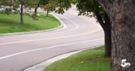 'I don't want to see kids getting hit': Safety concerns raised over D20 bus stop on Pine Manor Drive