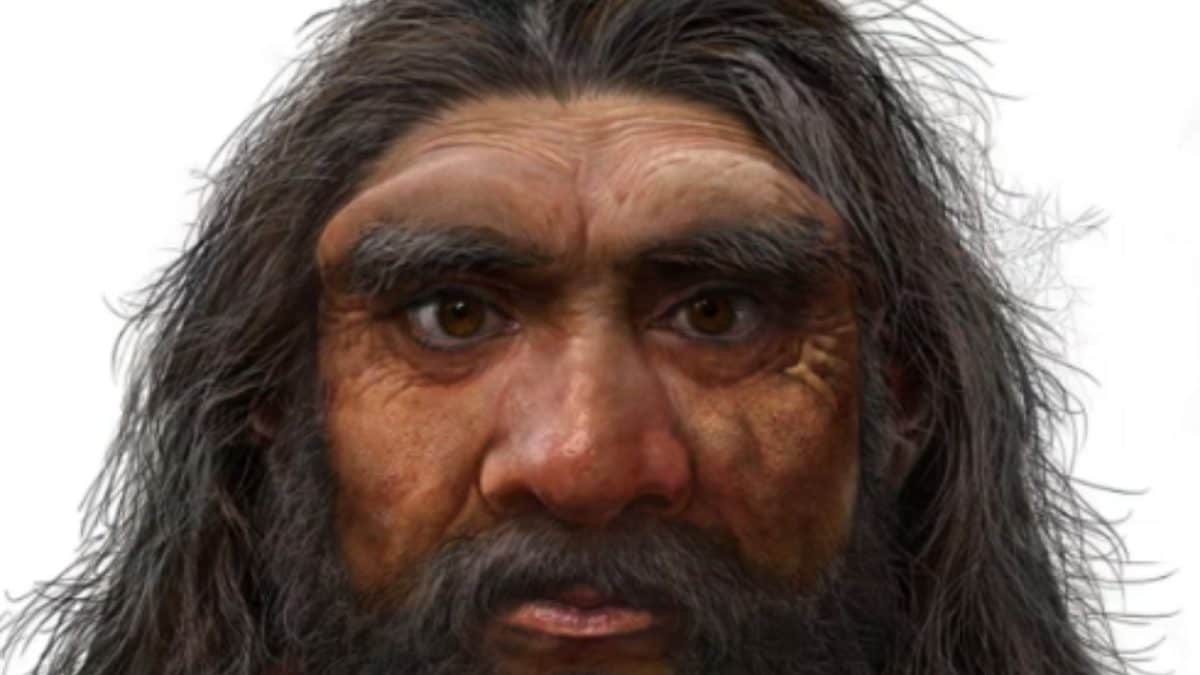Skull Unearthed In China Points To Earlier Origins Of Modern Humans: Study