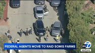 Federal agents seen blocking roads leading to farms in Somis area in Ventura County