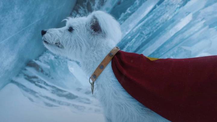 New 'Superman' Deleted Scene Has Mr. Terrific Teaming Up With Krypto [Exclusive]