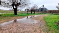 Nuevas lluvias se concentrarán sobre el NOA y el centro de la Mesopotamia durante los próximos días