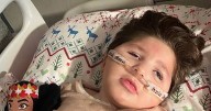 'He was a perfectly normal baby - but he died because of you'