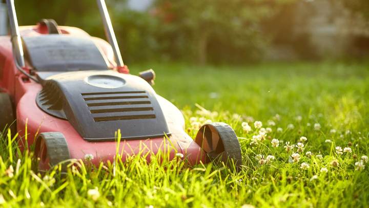 Should you still be mowing your lawn in September? Here's the best time to stop before winter