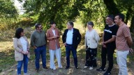 Pontón vincula la «eucaliptización» con la ola de incendios
