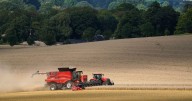 Gloucestershire farmer feels 'abandoned' as Government pay outs due to expire