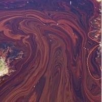 After video shows contamination, Gov. Landry pledges faster cleanup of Louisiana plant fire