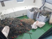 Golpe a la pesca furtiva: incautadas 400 metros de redes ilegales en Santoña