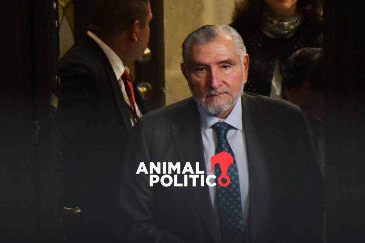 "Me concentré en la ganadería", dice Adán Augusto sobre sus ingresos ante polémica por su patrimonio