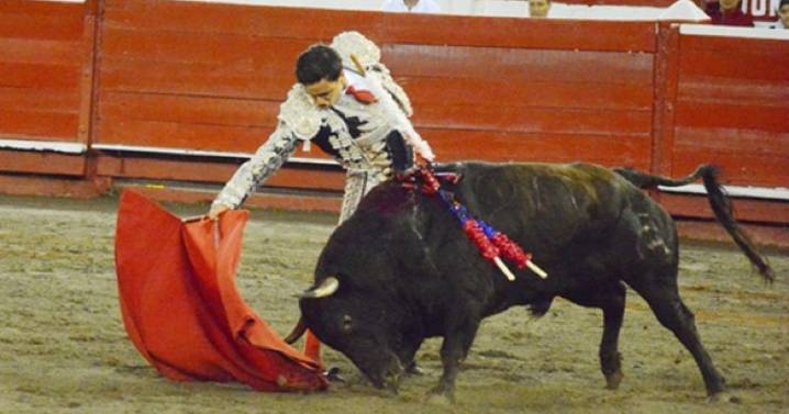 Triunfador de la Feria sufrió dos cornadas