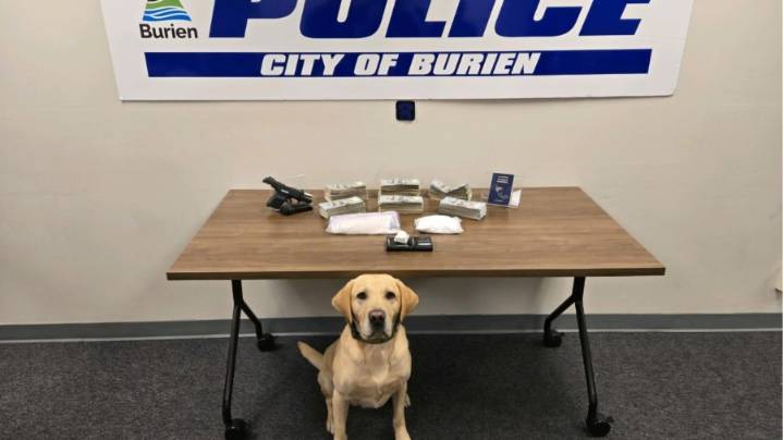 Bellevue drug dealer arrested in major trafficking bust
