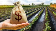 Retenciones al agro: negocio para pocos, estafa para muchos