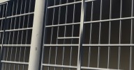 Sanpete County father accused of using cattle prod to discipline young sons