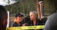 CFIA says B.C. ostrich farmers must leave by Tuesday or face arrest