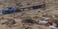 Un camión sin frenos desbarrancó 40 metros en Neuquén y el chofer se salvó de milagro