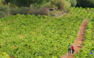 Arranca la semana con una bajada de temperaturas en Castilla y León