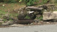19 people sick from Giardia after drinking from Bethlehem spring, officials say