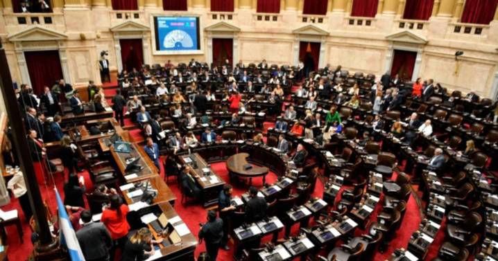 Diputados, EN VIVO: la oposición logró quórum y debate juntos los vetos al financiamiento universitario y al hospital Garrahan