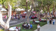 WT enrollment rises to 9,257 students this fall