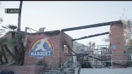 Marquez Elementary reopens after Palisades Fire