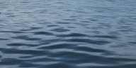 Missouri Highway investigates swimmers struck by personal watercraft on Pomme de Terre Lake following altercation over a dog