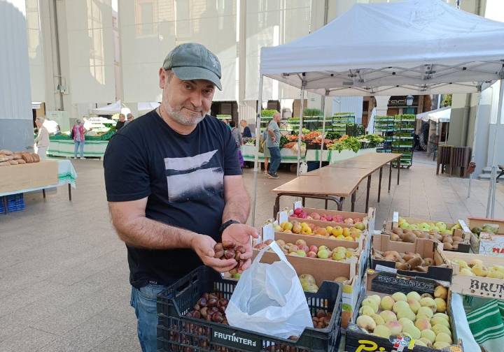 Gaztainak eta arto opila hasita, udazkena ate joka da