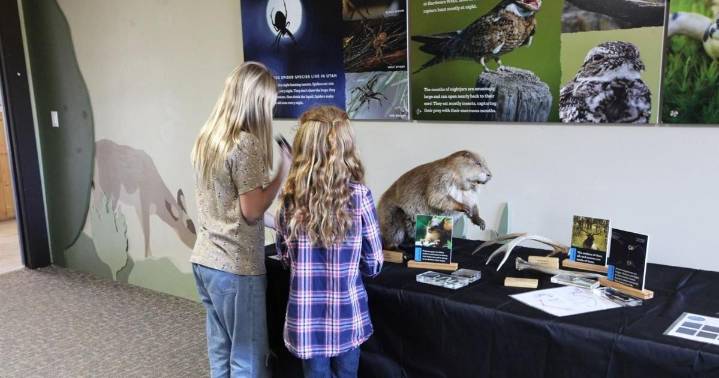 Learn about Utah’s nocturnal wildlife during an upcoming Hardware Wildlife Education Center exhibit