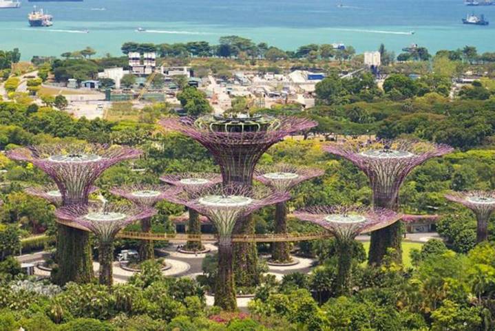 La obsesión de Singapur por la sombra que la convierte en un modelo en el mundo para combatir el calor