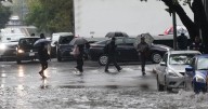 Lluvias de ayer en CDMX dejaron 44 encharcamientos, 34 árboles caídos y deslizamientos