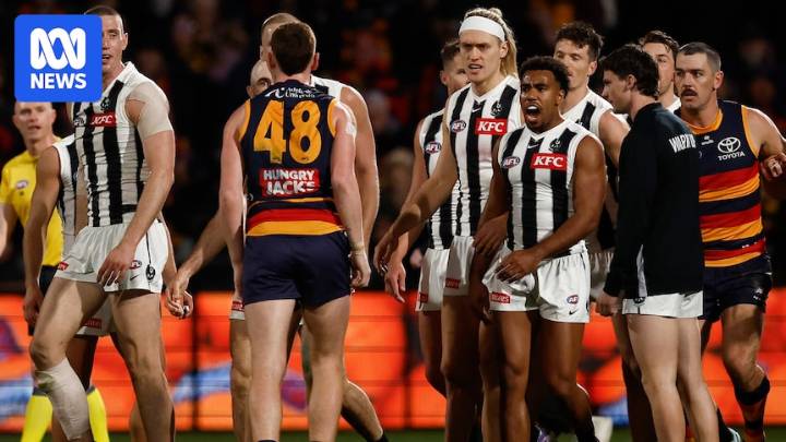 AFL live updates: Geelong vs Brisbane Lions — blog, scores and stats from the 2nd qualifying final
