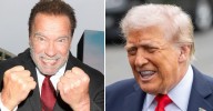 Schwarzenegger 'Desperate' to Run for President to 'Restore Democracy'