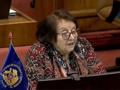 "Tontorrones y sin remedio": los repudiables dichos de una diputada de Chile sobre los bolivianos