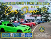 Lions and Cigars and Cars plus a Blood Drive
