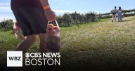 Apple picking season underway at Belkin Family Lookout Farm in Natick
