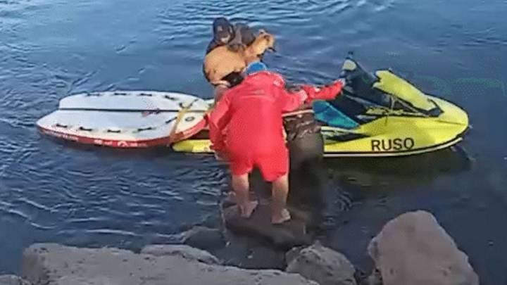 Operativo de rescate en el Limay: nueve personas y dos perros fueron evacuados de una isla