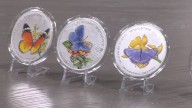 Butterfly coins with the Albuquerque Coin Club