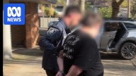 One woman, eight men charged with child abuse offences following NSW raids