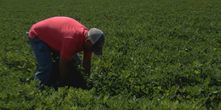 Georgia Agriculture Commissioner announces initiative celebrating Georgia’s veteran farmers
