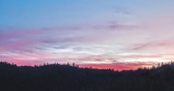 Day hiker: Yuba Rim Trail — discover the beauty of Rice’s Crossing Preserve