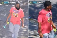 NYC sicko attempted to rape girl, 13, before attacking 15