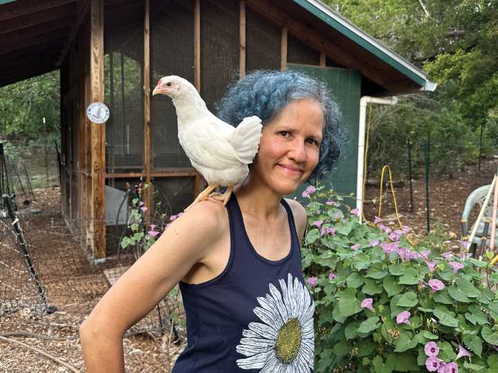 Backyard Chicken Mama Michelle Hernandez touts recuperative coop benefits