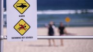 Muere un surfista en una playa de Sídney por el ataque de un tiburón