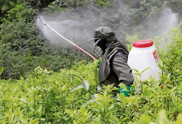 Cuatro de los plaguicidas prohibidos por el Gobierno de México provocan cáncer; también dejan huella tóxica en ecosistemas