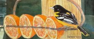 Women In Art create rainbows of color at Medina Library